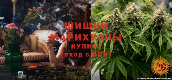 дмт Козельск