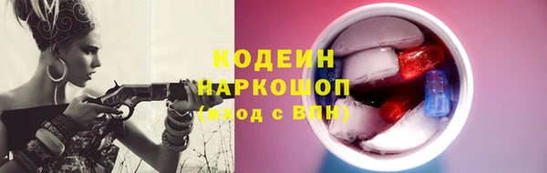 дмт Козельск