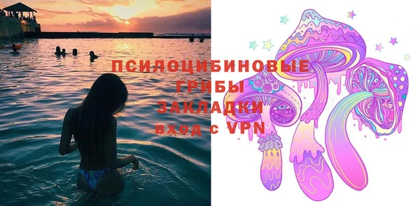 дмт Козельск