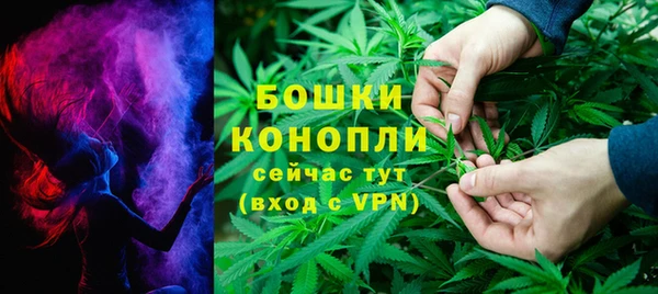 дмт Козельск