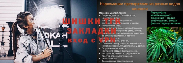 скорость Козловка