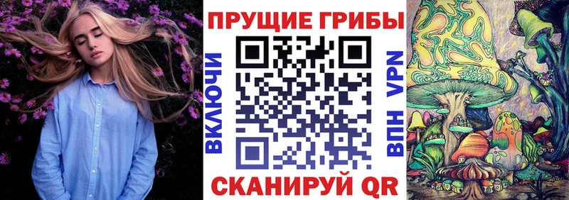 Галлюциногенные грибы Psilocybe  Купить  Ивдель 